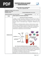 P1 - Componentes de La Sangre-Signed