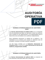 s16 Auditoria Operativa Nia