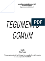 Conteudo 10 Tegumento