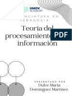 Teoría Del Procesamiento de La Información