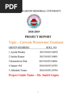 Project Report 2019SATYWAN