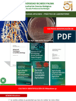 Cultivo e Identificacion Rhizobium AV 2020 URP