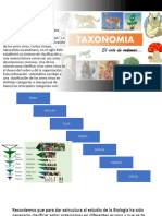 Taxonomia