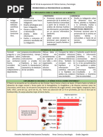 Indagamos Sobre El Hierro en Los Alimentos