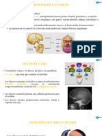 CRANEO y CARA