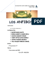 Anfibios 4 C