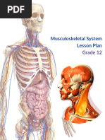 Humane Science Human Musculoskeletal Grade 12 Lesson Plan