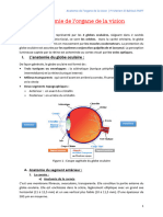 Anatomie de L'organne de La Vision