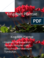 Kingdom Plantae