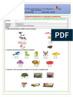 Evaluaciones Iipdf - Qimestre 2023