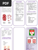 Triptico Anemia