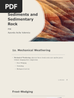 Sediments and Sedimentary Rock-Week 4