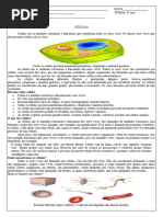 Celulas 05 - 05