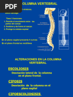 ESCOLIOSIS - CIFOSIS Clase Final