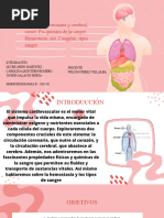 Circulacion Coronaria y Cerebral, Caract. Fis-Quimi