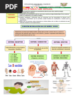 Ficha Trabajo Segundo III Bim Santillana