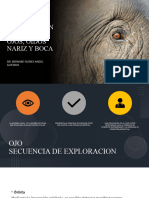 Exploracion de Cabeza, Ojos, Oidos Nariz