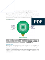 Cereales - Resumen 1° Parcial