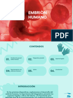 Embrion Humano PDF