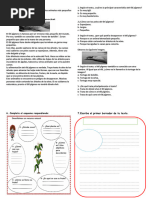 Fichas Comunicación - Viernes 03 de Noviembre - Preparación para El Examen