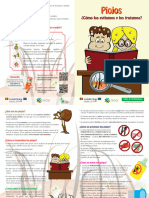 Díptico Sobre Pediculosis