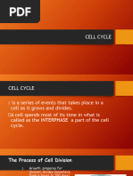 Cell Division