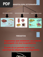 Parasitologia 1