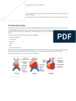 Development of The Cardiovascular System - TeachMeAnatomy