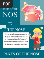 Parts of The Nose and Skin