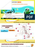 100% Preparado - Estrutura e Funcionamento Do Sistema Respiratório Humano