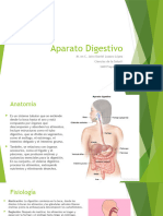 Sistema Digestivo