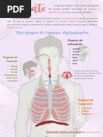 Infografia