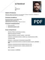 Curriculum Vitae Funcional