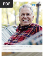 Global Select Health Plan