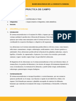 Formato de Entregables de Práctica de Campo Informe