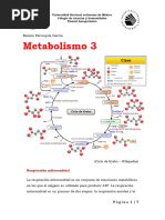 Metabolismo 1