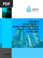 VESTA CV-compressed - Editable