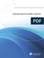 Guía - Proyecto Científico Colectivo 2025