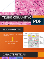 Tejido Conjuntivo 2023