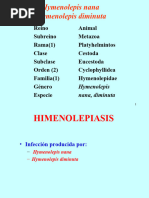 Tema 23 Hymenolepis Nana y Diminuta