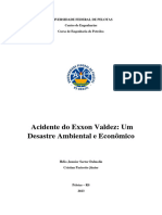 Acidente Exxon Valdez - Hélio e Cristian