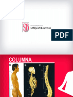 Columna Vertebral y Músculos