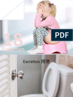 18 Excretion