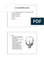 Le Squelette Axial. Crâne (Incluant Le Crâne, Les Os de L Appareil Auditif Et Les Os de La Face) - Appareil Hyoïdien Colonne Vertébrale Côtes Sternum