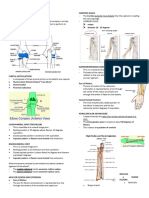 Kinesiology Chap 6 Transes