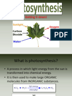 Photosynthesispresentationbyme 120608123750 Phpapp01