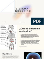 Sistema Endocrino