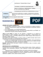 RADIONOVELA Teoria