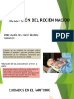 Recepción Del Recién Nacido, Algoritmo de Reanimación