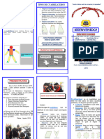 Triptico Ric Por El Segundo Dia Logro 2019